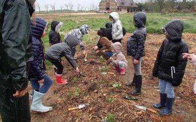 Atelier plantation avec les élèves de l’école Génestal