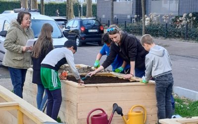 Découverte de la permaculture avec les habitants de LOGEO