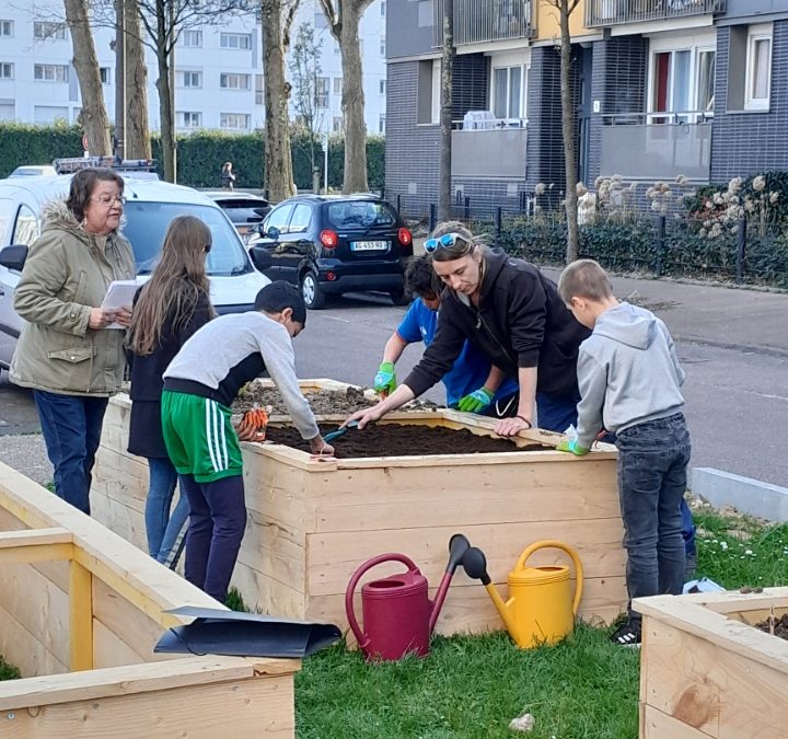 Découverte de la permaculture avec les habitants de LOGEO