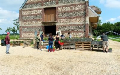 Distribution de tomates à la ferme pour les jardiniers du Havre